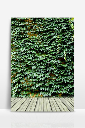 绿色文艺清新艺术照广告海报背景图图片下载