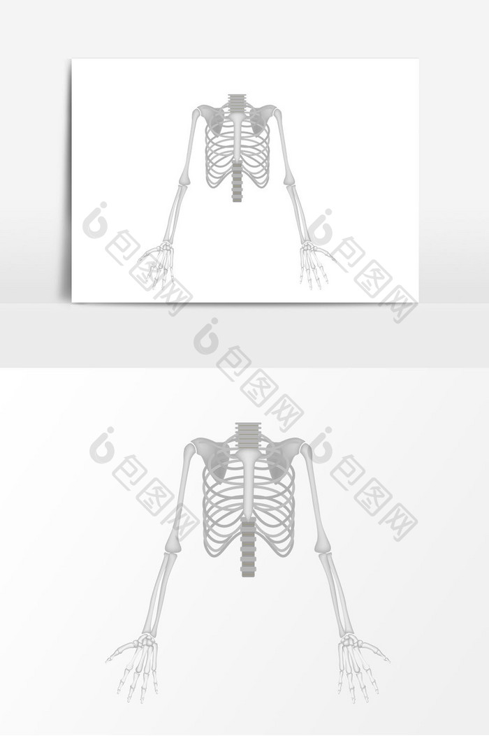 卡通骨骼骨架子矢量元素