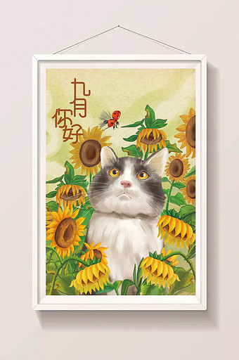 唯美清新九月你好向日葵猫咪插画图片