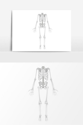 骨头骨架子矢量元素
