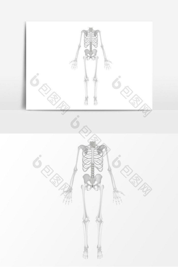 骨头骨架子矢量元素