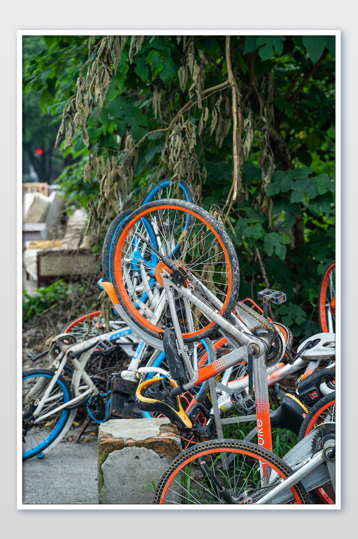 城市配套设施自行车共享单车环保文明摄影图