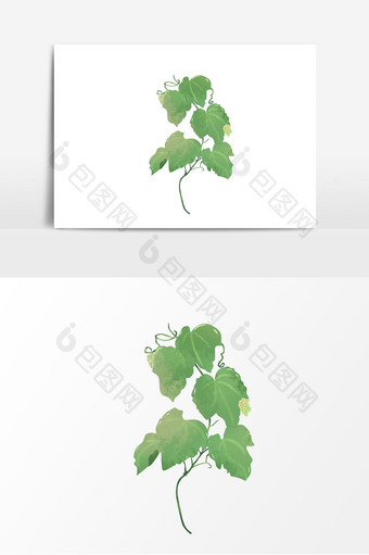 手绘绿色葡萄藤元素图片