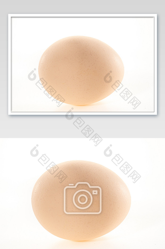 单个土鸡蛋白底摄影图