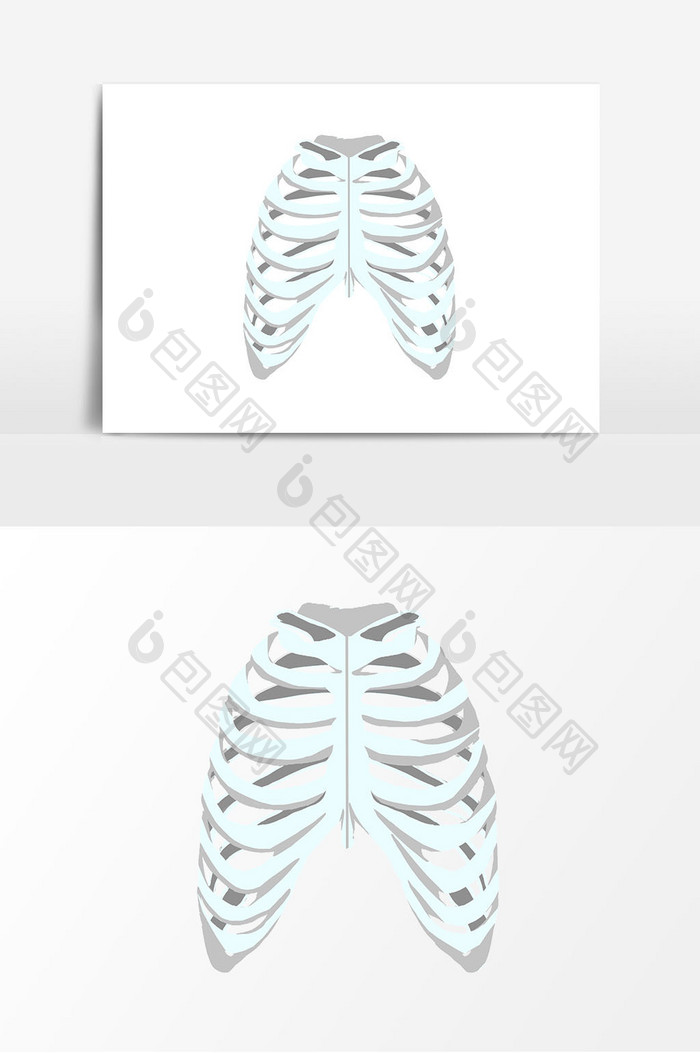 手绘人体肋骨元素