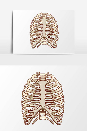 手绘卡通小清新骨骼胸腔