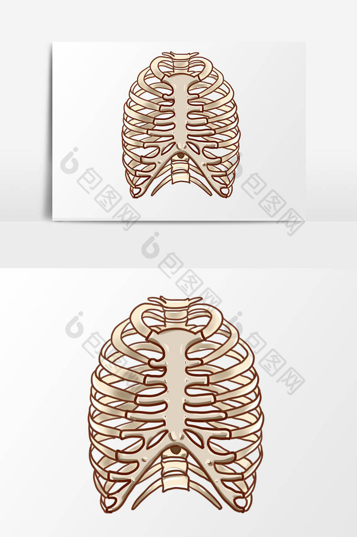 手绘卡通小清新骨骼胸腔