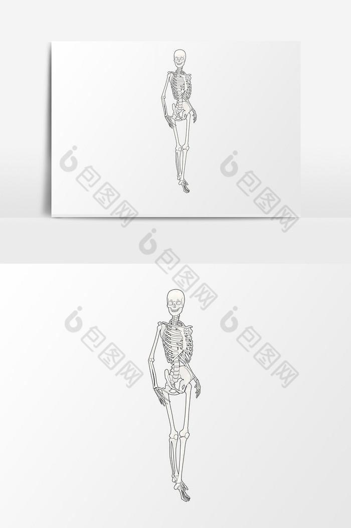 骨骼人体图片图片