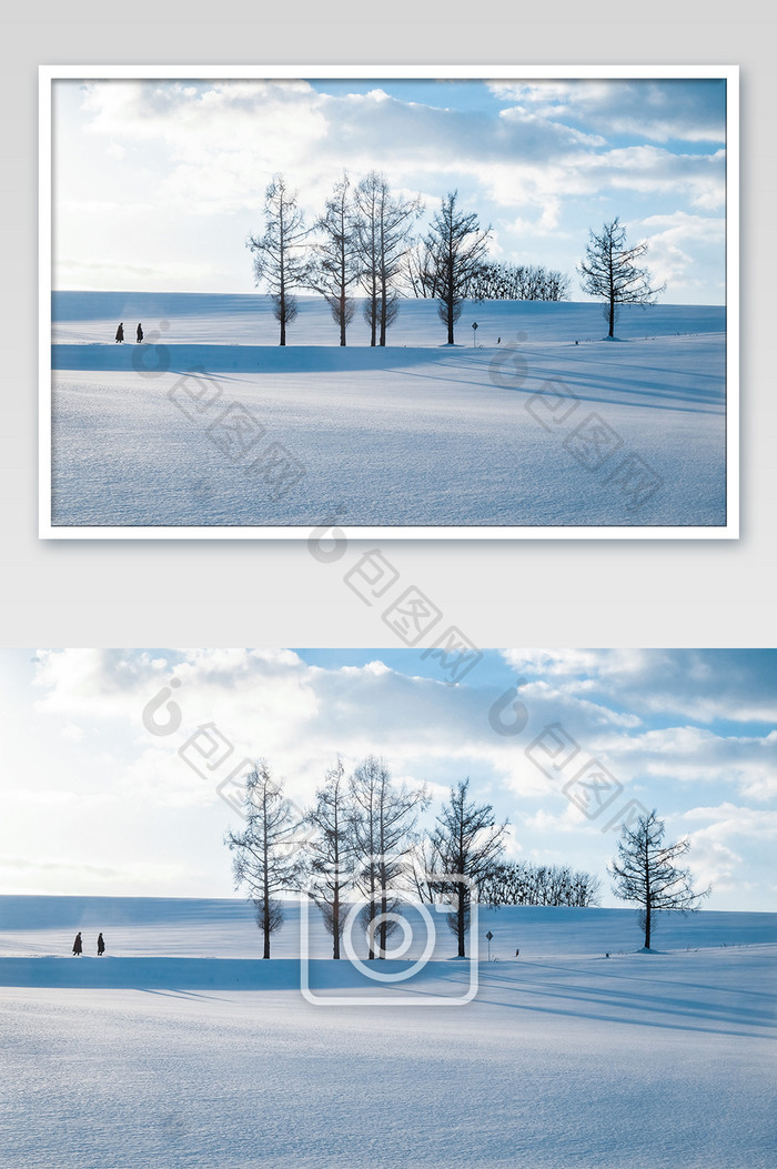 日本日系北海道雪原雪景摄影图片