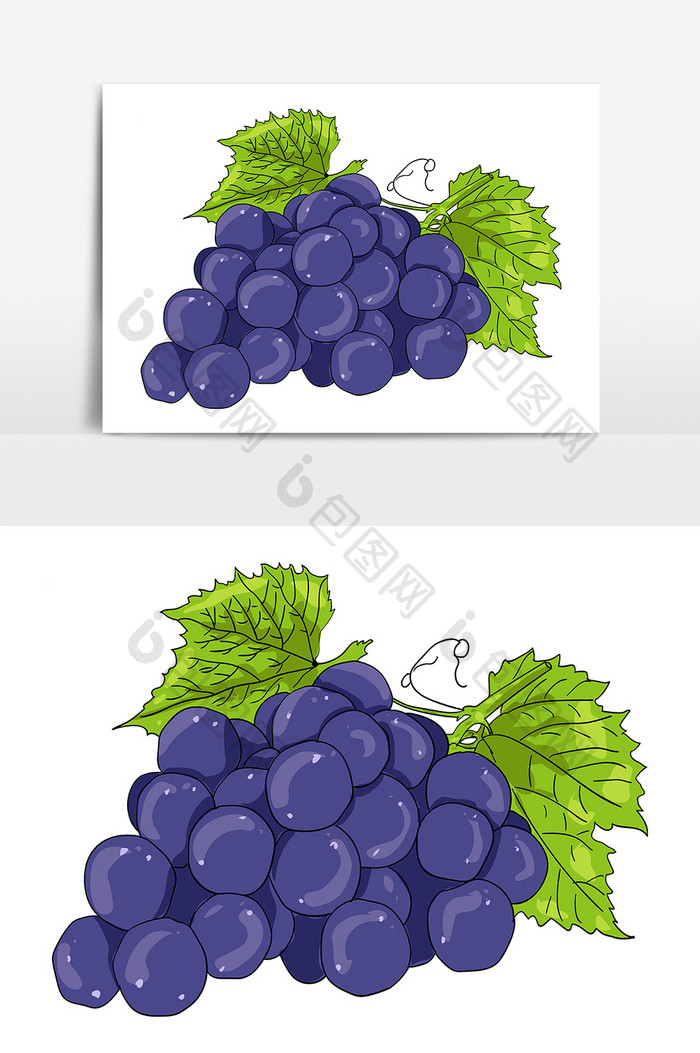 手绘清新紫色水果葡萄矢量AI