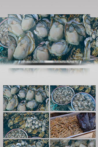 生蚝海蛎子蛏子笔管蛏子观赏鱼金鱼锦鲤鱼图片