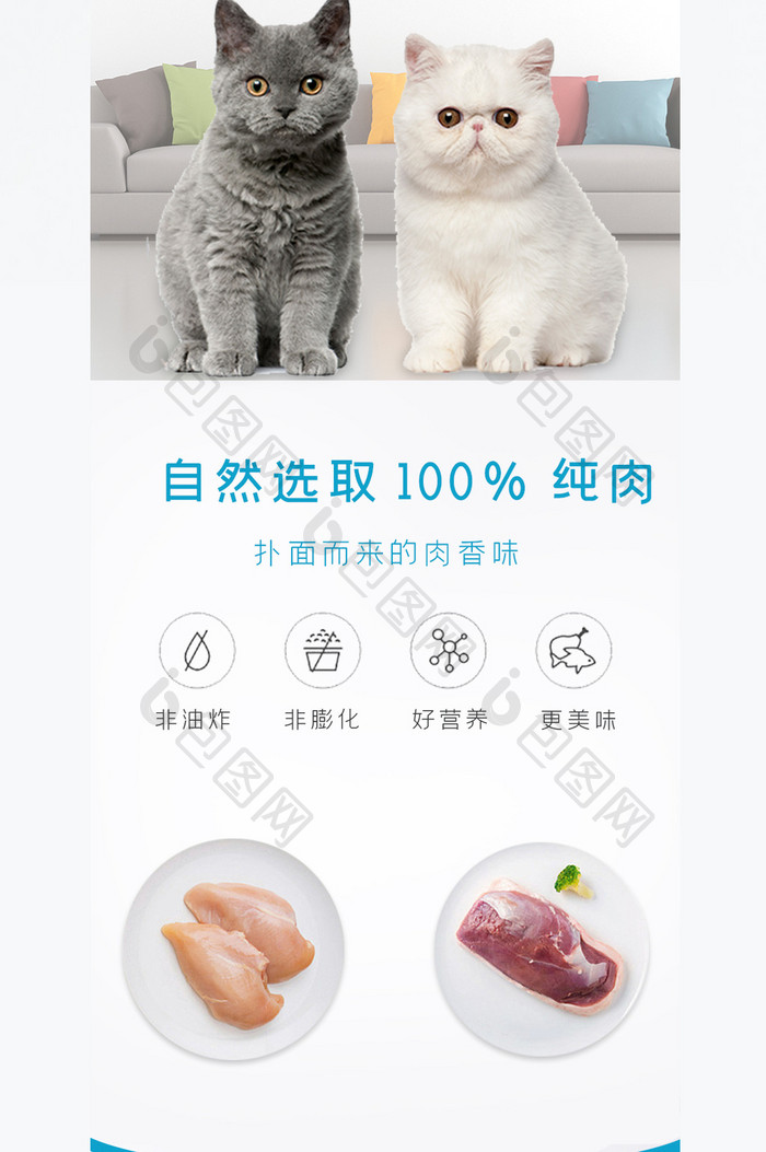 猫零食鸡胸肉冻干增肥电商淘宝详情页