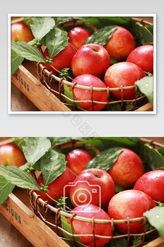 新鲜现摘有机农产品桃子油桃图片