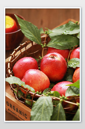 新鲜现摘有机农产品桃子油桃夏季水果图片