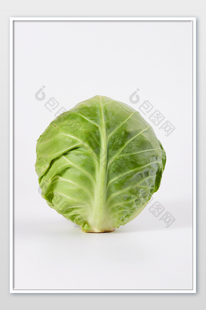 绿色卷心菜包菜新鲜蔬菜白底美食摄影图片图片