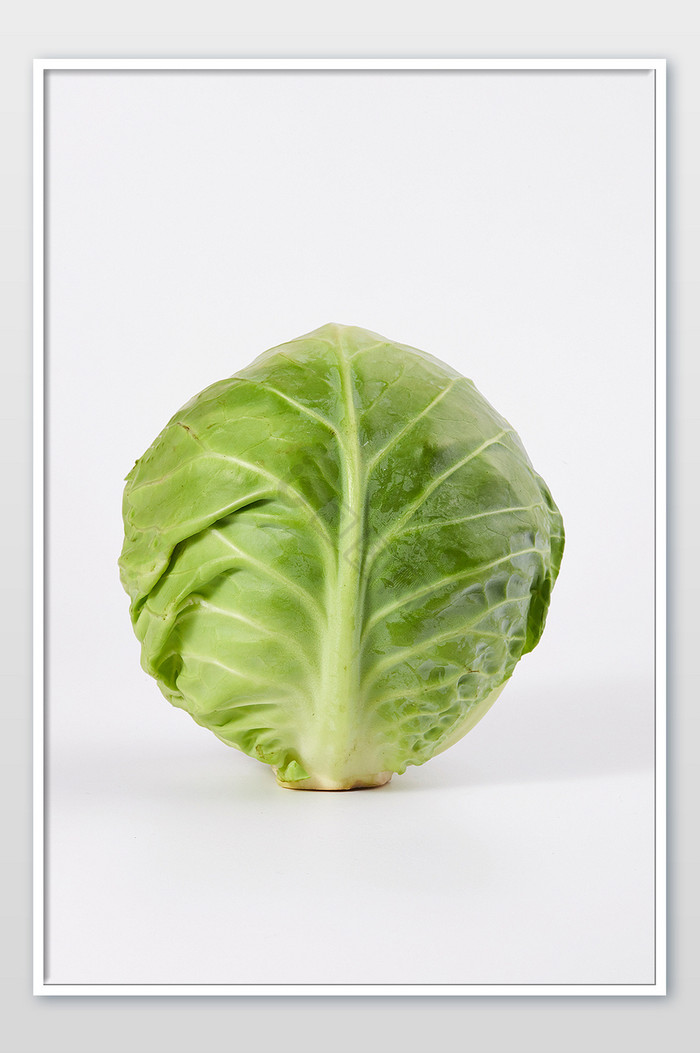 绿色卷心菜包菜新鲜蔬菜白底美食摄影图片