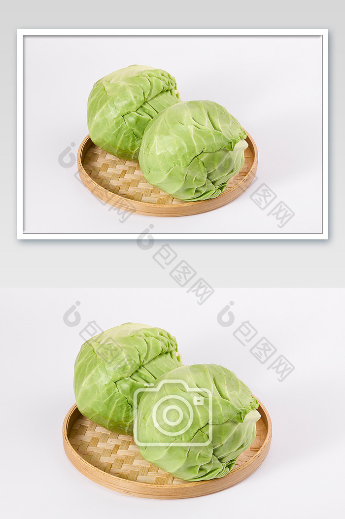 绿色卷心菜包菜蔬菜新鲜白底美食摄影图片