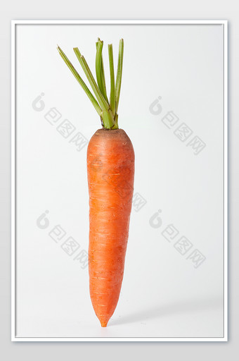 黄色新鲜蔬菜红萝卜胡萝卜白色背景摄影图片