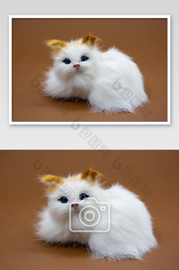 玩具小猫摄影图片图片