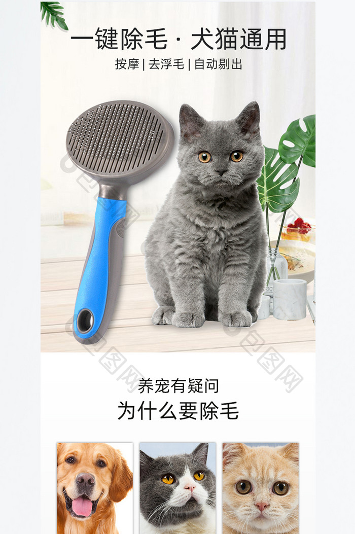 猫咪梳毛手套工具宠物去浮毛刷电商详情页