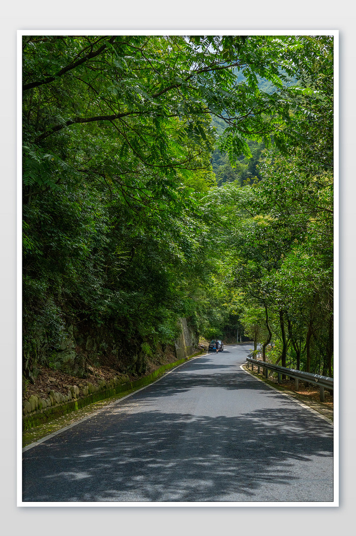 林荫小路马路道路夏天绿树速度高清摄影图