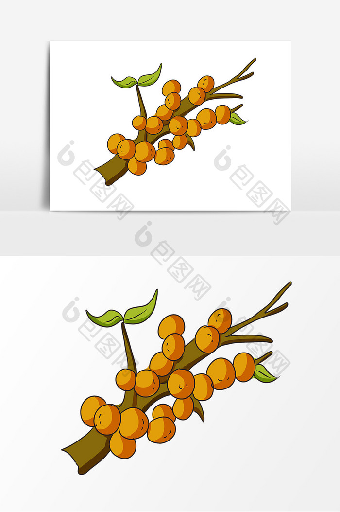 手绘植物沙棘装饰元素