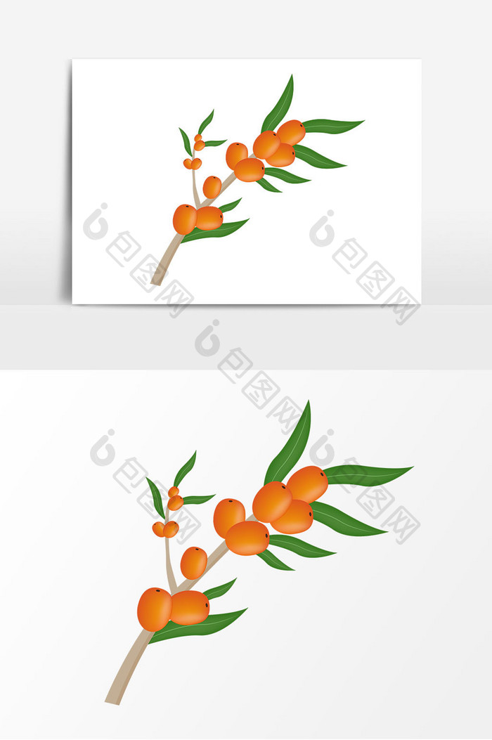 橙色沙棘果素材设计