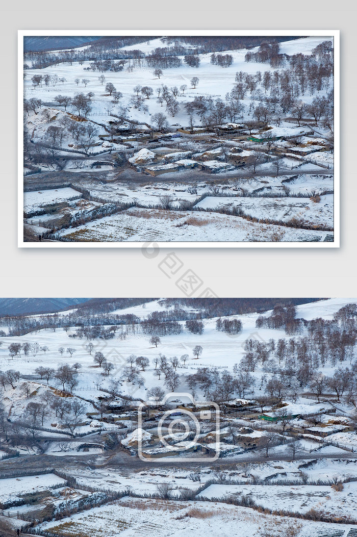 雪原枯树大雪纷飞风光图