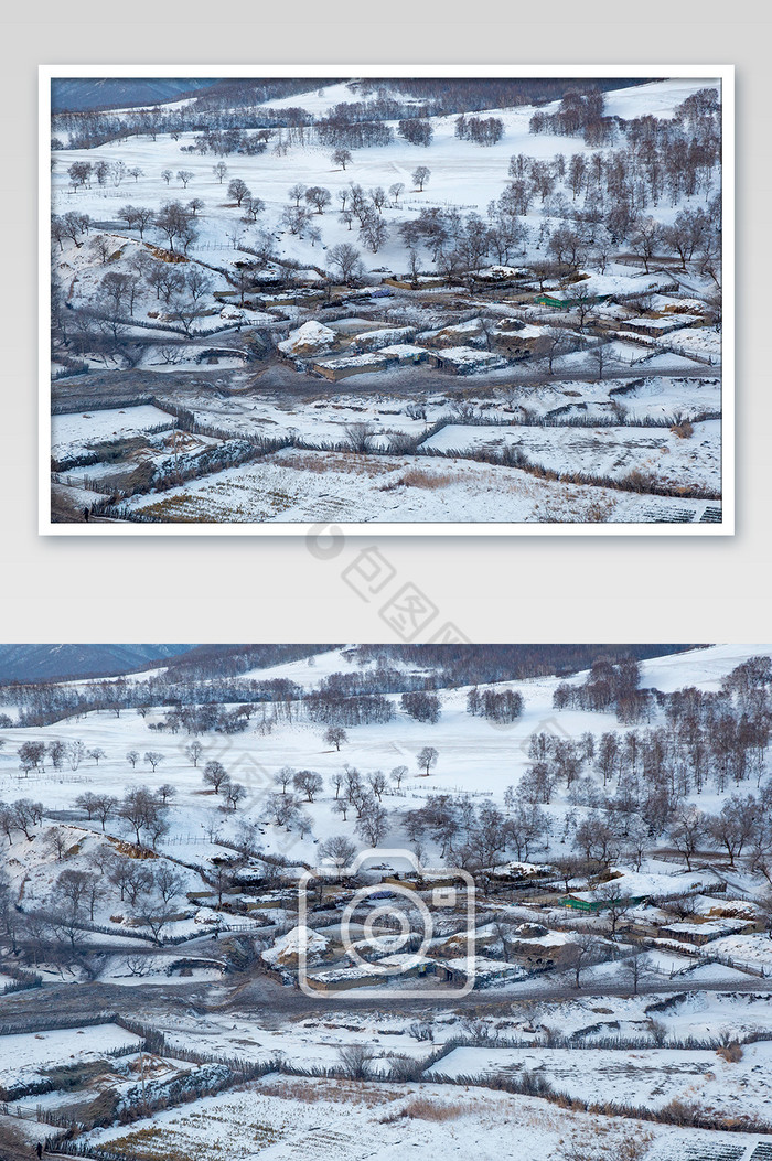雪原枯树大雪纷飞风光图图片图片