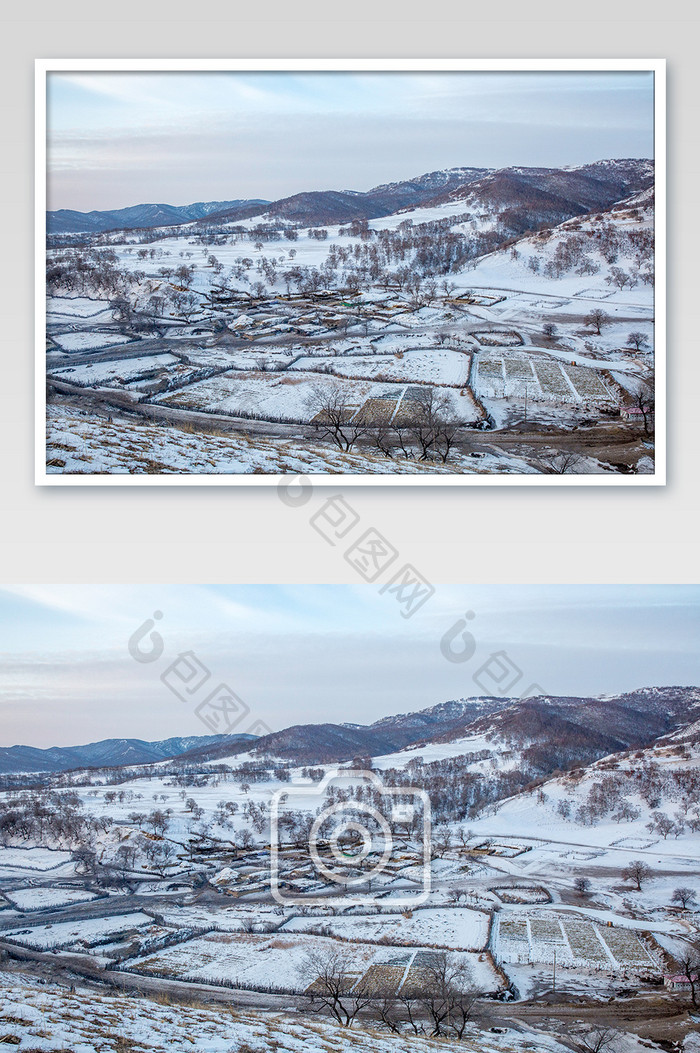 雪白色牧场放牧风光摄影图