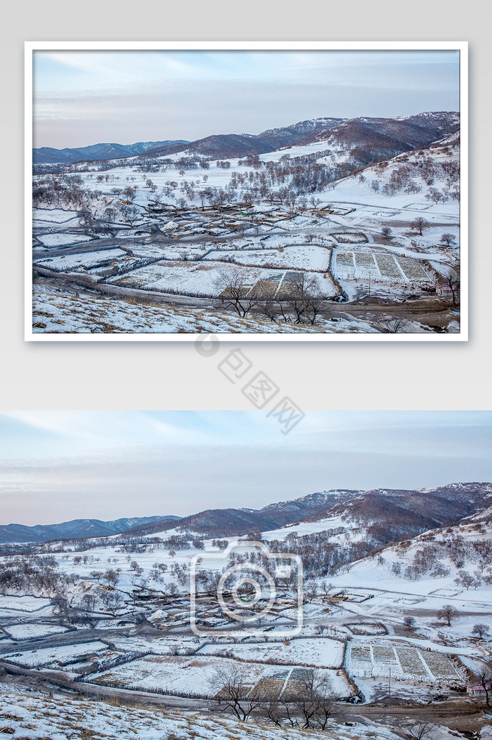 雪白色牧场放牧风光摄影图图片