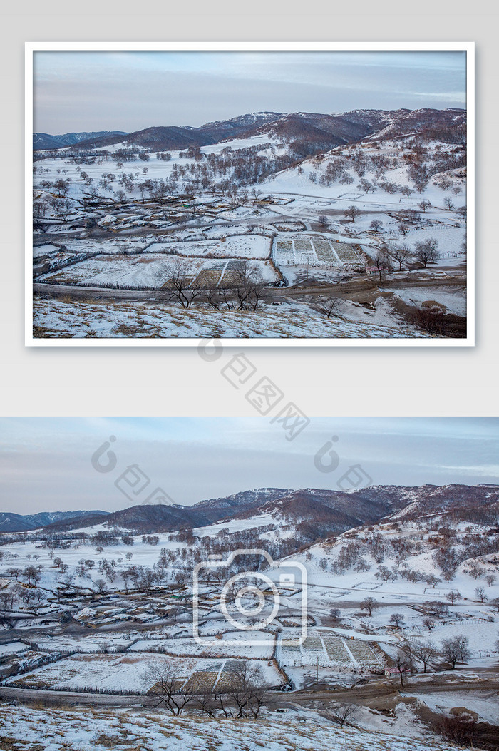白色雪原牧场风光摄影图