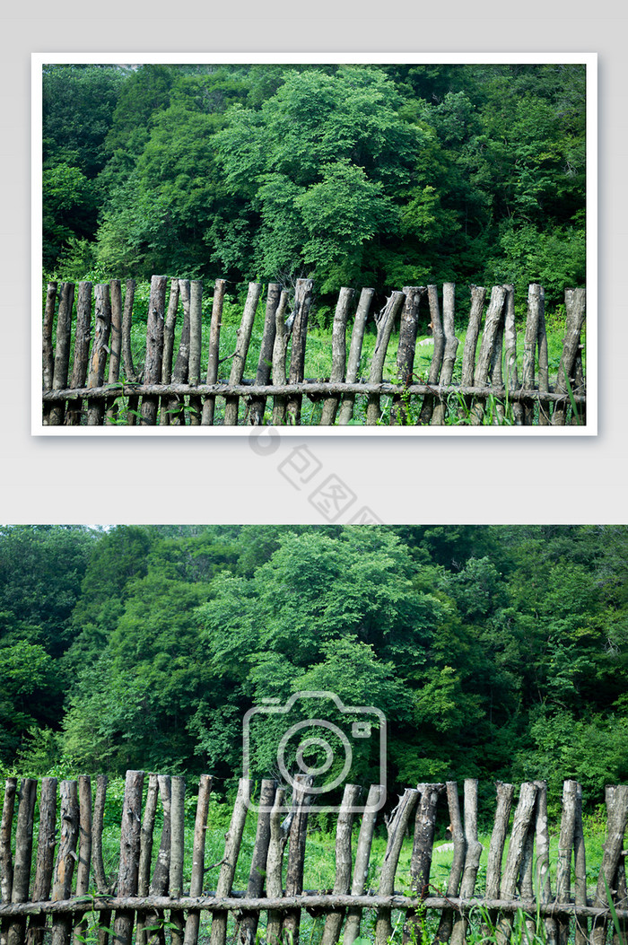 树木围栏森林森系图片图片