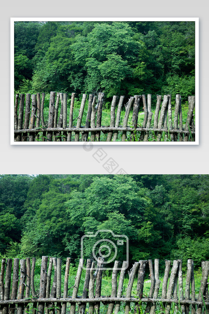 树木围栏森林森系图片