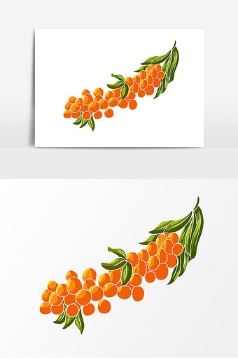 手绘沙棘简约元素图片下载