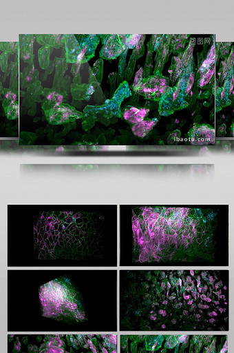 细胞病毒细菌医疗科技科学医学微观图片