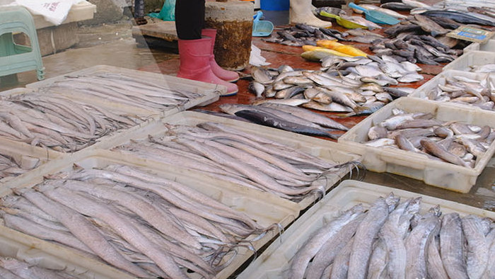 民生海鲜市场消费菜市场购物菜篮子带鱼鲳鱼