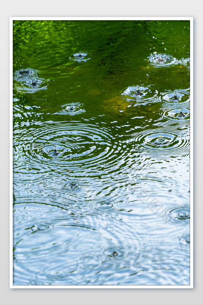 雨点清爽干净夏天大暑节气雨点摄影图