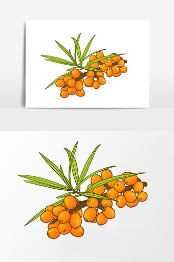 淡彩颜色沙棘的水果元素图片下载
