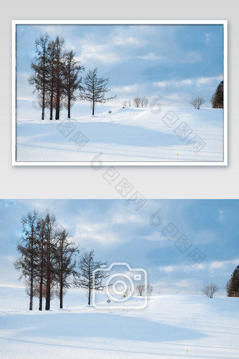北海道雪原摄影图片