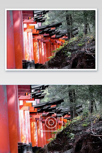 日本神社素材 包图网 日本神社素材 包图网