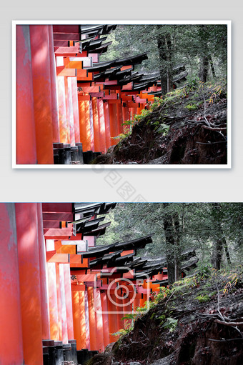 日本京都稻荷神社和风摄影图片