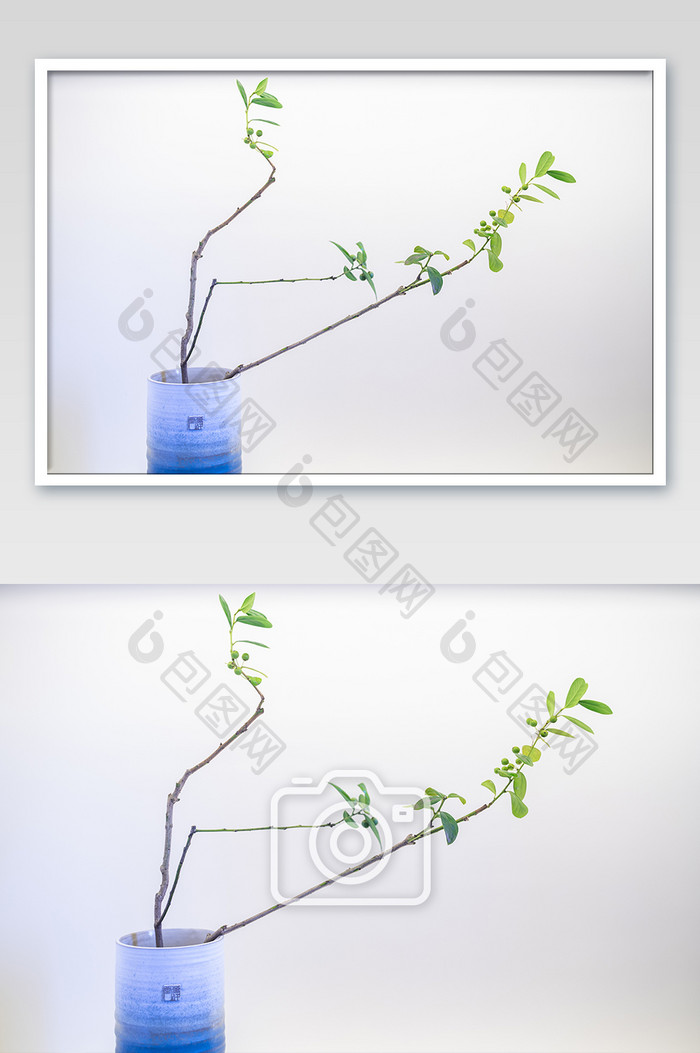 中式插花简洁意境树枝绿色花艺摄影图