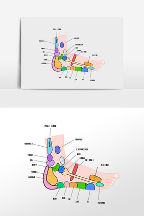 足步穴位图卡通插画