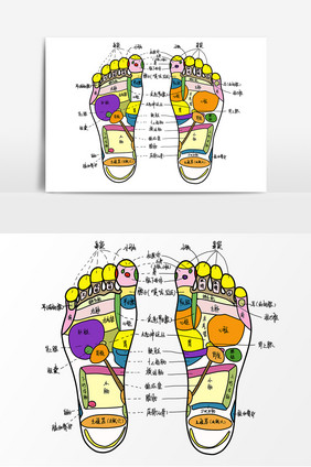 手绘足部穴位图卡通