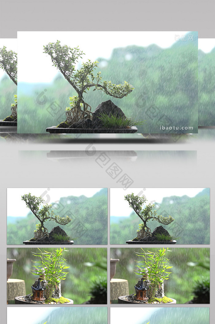 盆栽盆景特写慢动作淋雨画面实拍视频