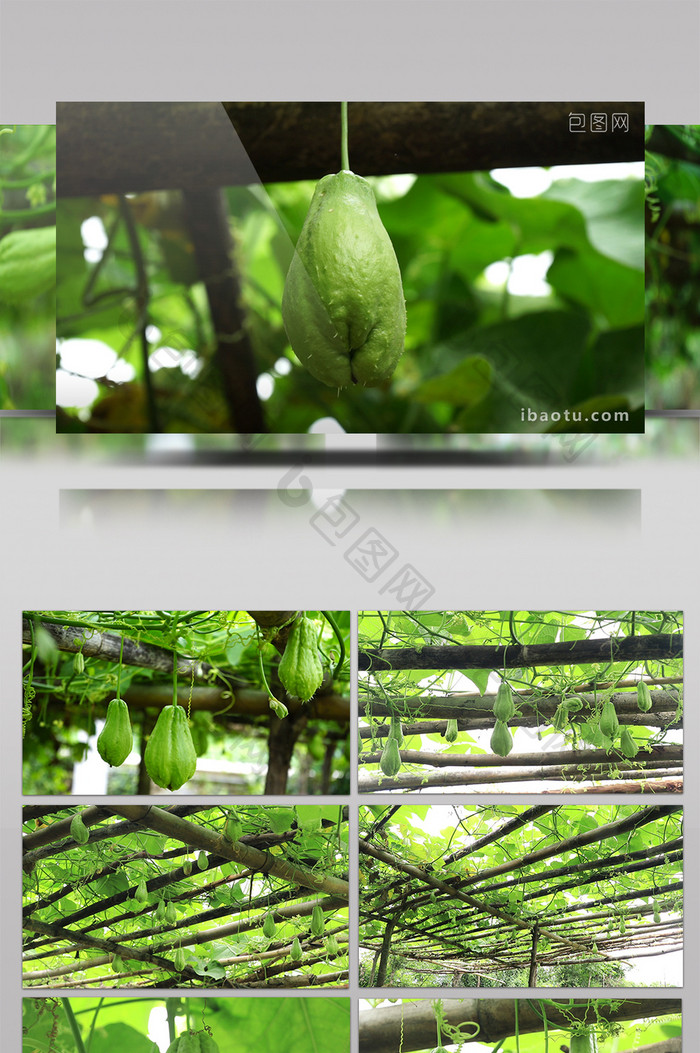 洋具使用视频下载-包图网