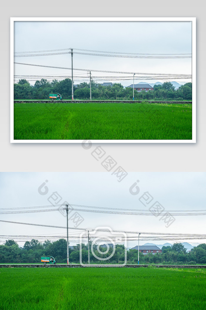 乡村水稻快递车摄影图图片图片
