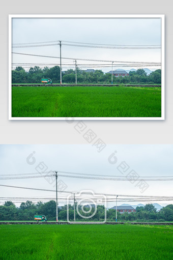 乡村水稻快递车摄影图图片