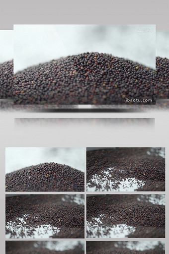 农业农产品油菜籽特写高清实拍视频素材图片